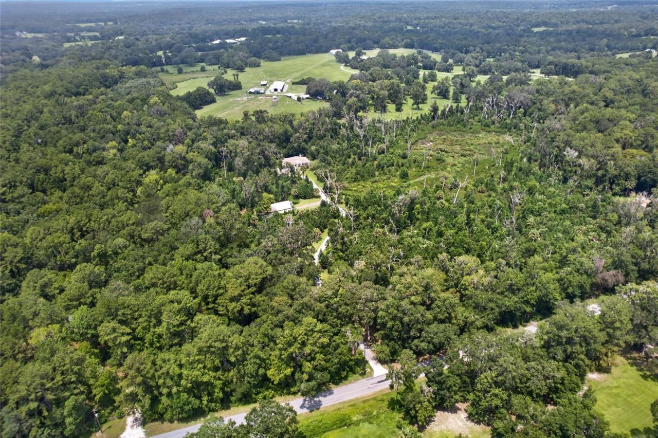 19040 NW 88th Avenue Road, Reddick, FL 32686 Photo
