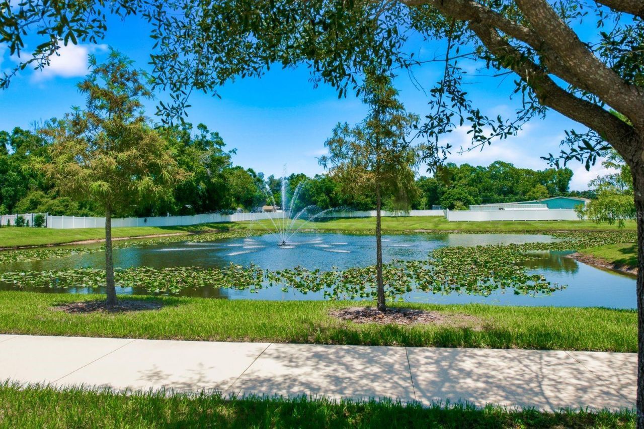 8216 Praise Drive, Tampa, FL 33625 Photo