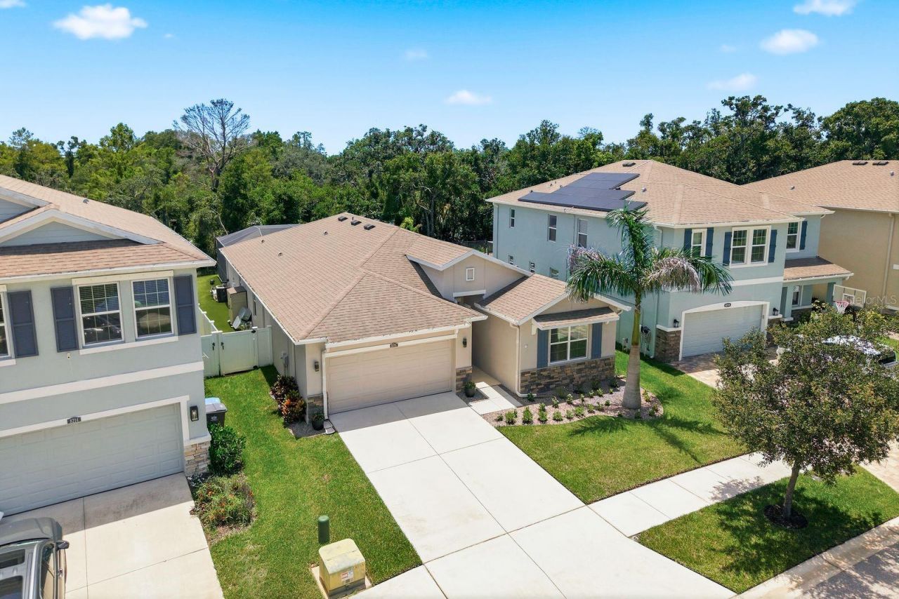 8216 Praise Drive, Tampa, FL 33625 Photo