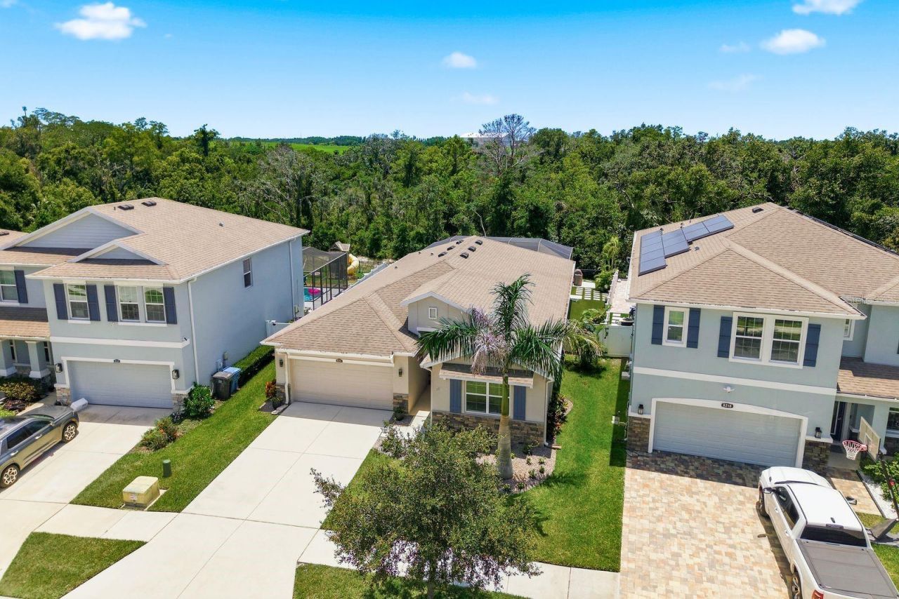 8216 Praise Drive, Tampa, FL 33625 Photo