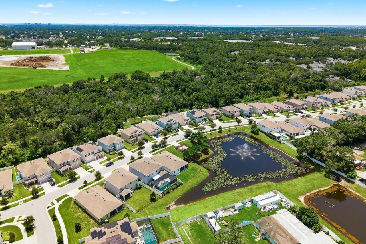8216 Praise Drive, Tampa, FL 33625 Photo