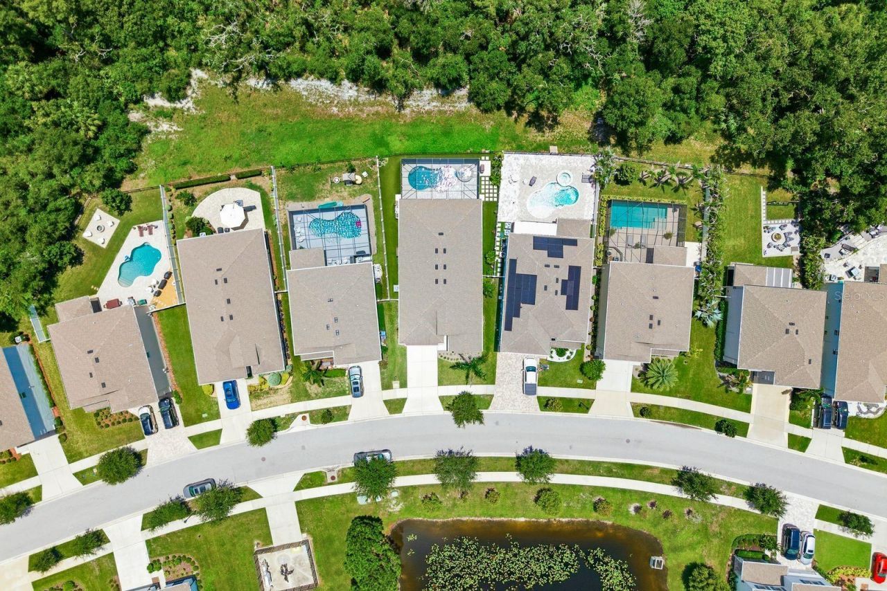 8216 Praise Drive, Tampa, FL 33625 Photo
