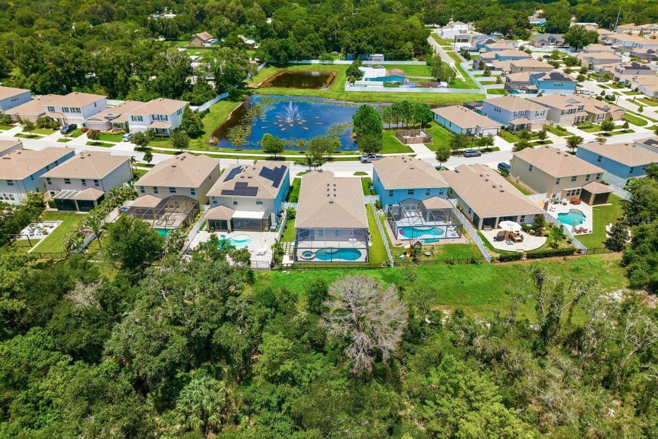 8216 Praise Drive, Tampa, FL 33625 Photo