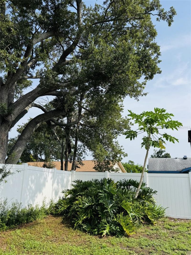 6511 Jarvis Road, Sarasota, FL 34241 Photo