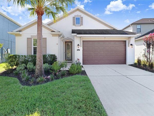 16325 HYDE MANOR DRIVE , TAMPA, FL 33647