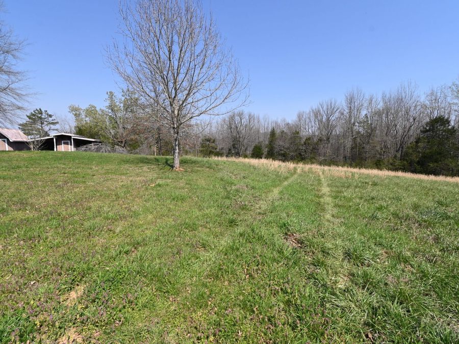 Property Image 66