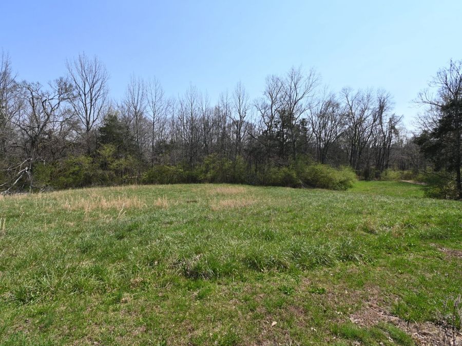 Property Image 67