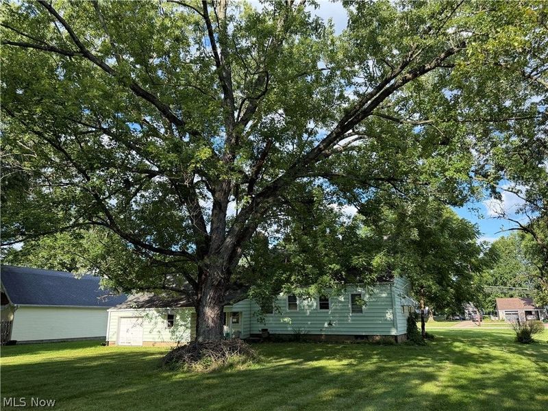 4111 Broadway Avenue NE, Louisville, OH 44641 Photo 10