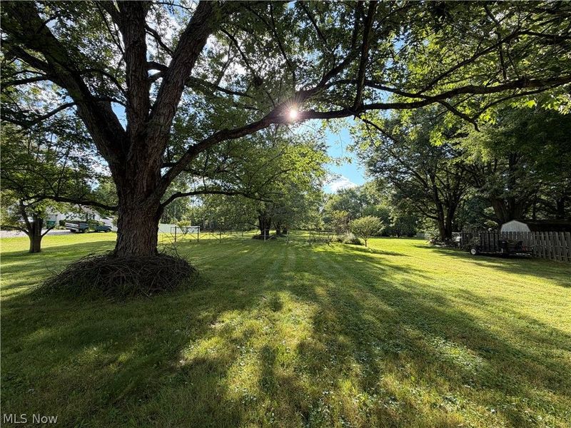 4111 Broadway Avenue NE, Louisville, OH 44641 Photo 5