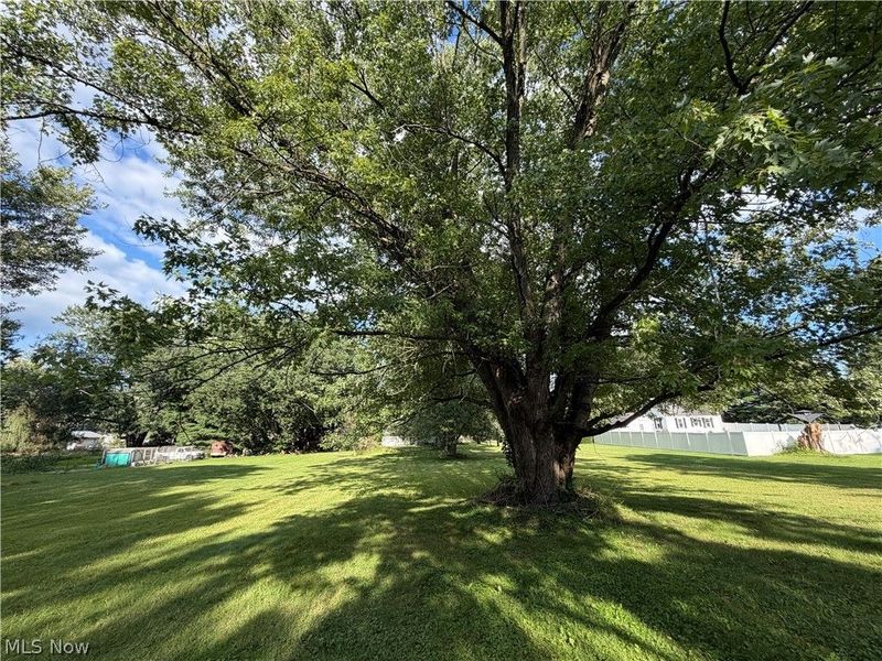 4111 Broadway Avenue NE, Louisville, OH 44641 Photo 8