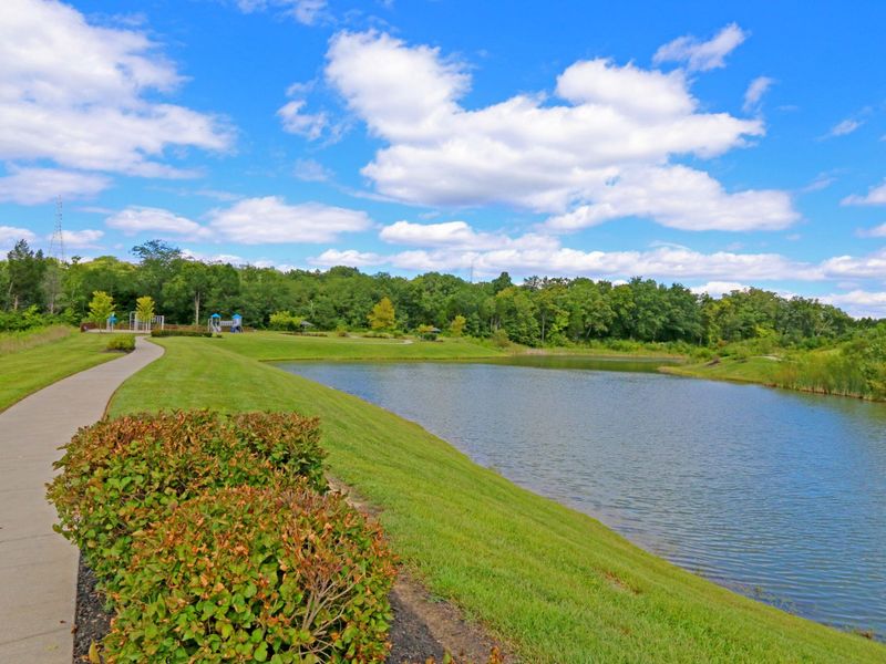 1288 Summerlake Drive, Alexandria, KY 41001 Photo 49