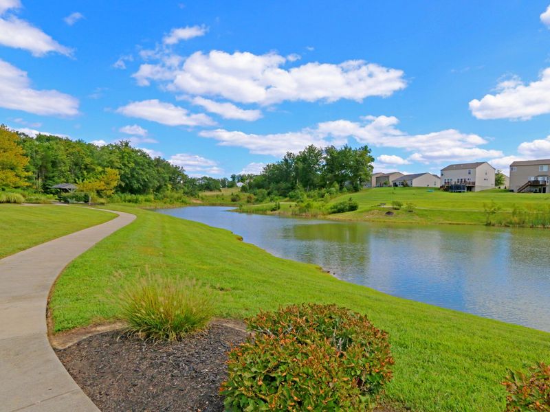 1288 Summerlake Drive, Alexandria, KY 41001 Photo 50