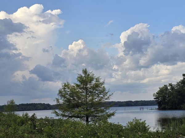 Lot 018 Firewood Lane , Morrilton, AR 72210