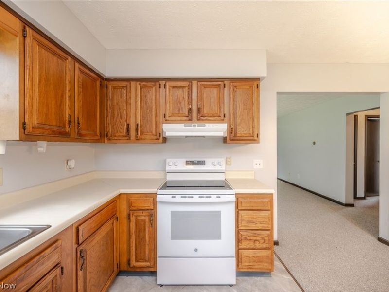 8136 Stadler Avenue , Boardman, OH 44512 Photo 23