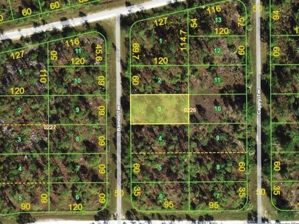 13346 BAMBI TERRACE , PUNTA GORDA, FL 33955