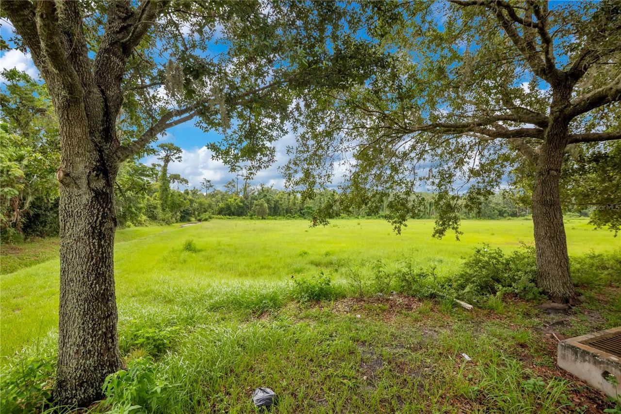 Rock Springs Road, Apopka, FL 32712 Photo