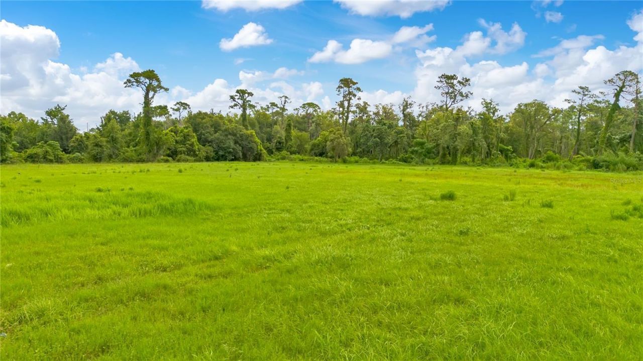 Rock Springs Road, Apopka, FL 32712 Photo