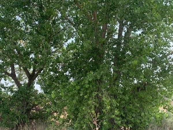 TBD Sand Hollow Rd, New Plymouth, ID 83655