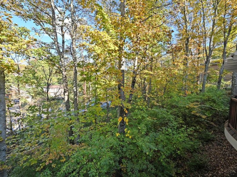 5599 Rapid Run Road, Delhi Twp, OH 45238 Photo 48
