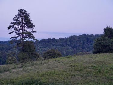 0000 Haynes Cemetery Road, Somerset, KY 42501