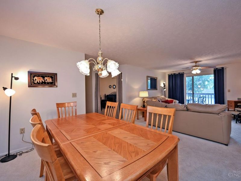 7382 Ridgepoint Drive, Unit 7, Cincinnati, OH 45230 Photo 13