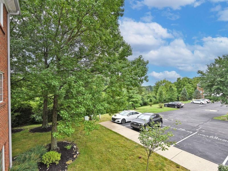 7382 Ridgepoint Drive, Unit 7, Cincinnati, OH 45230 Photo 37