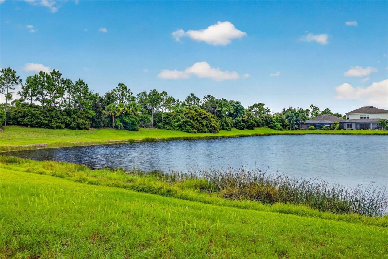 5934 Anise Drive, Sarasota, FL 34238 Photo