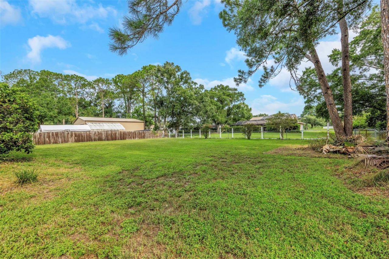 9237 Amazon Drive , New Port Richey, FL 34655 Photo