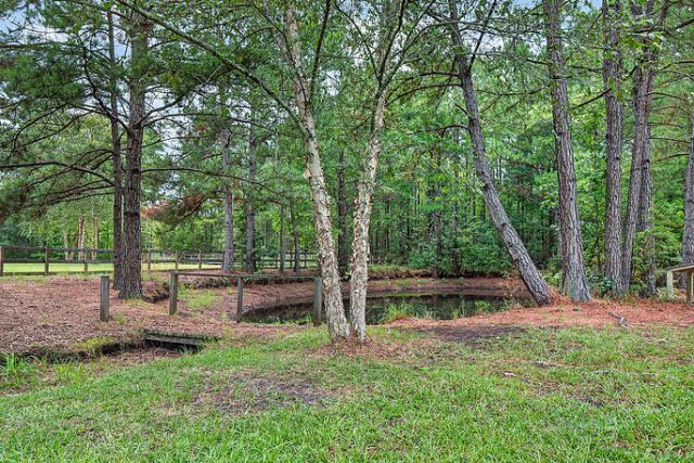 8249 Jefferies Highway Photo 30