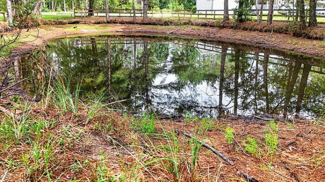 8249 Jefferies Highway Photo 31