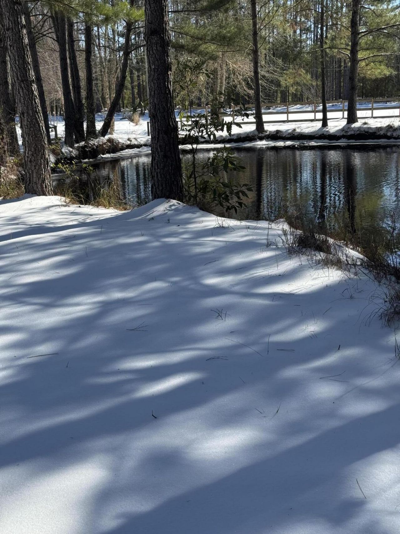 8249 Jefferies Highway Photo 35