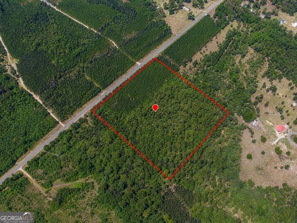9.01 ACRES Livingston Farm Road, Mcrae-Helena, GA 31055