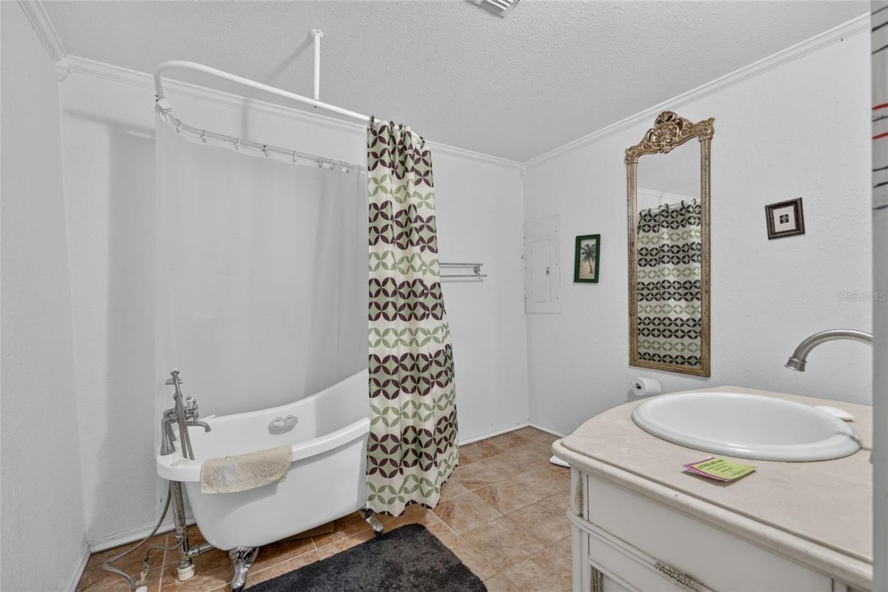 25155 NE 133rd Lane, Salt Springs, FL 32134 Photo