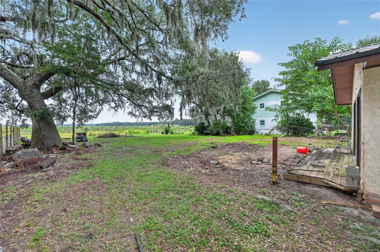 25155 NE 133rd Lane, Salt Springs, FL 32134 Photo