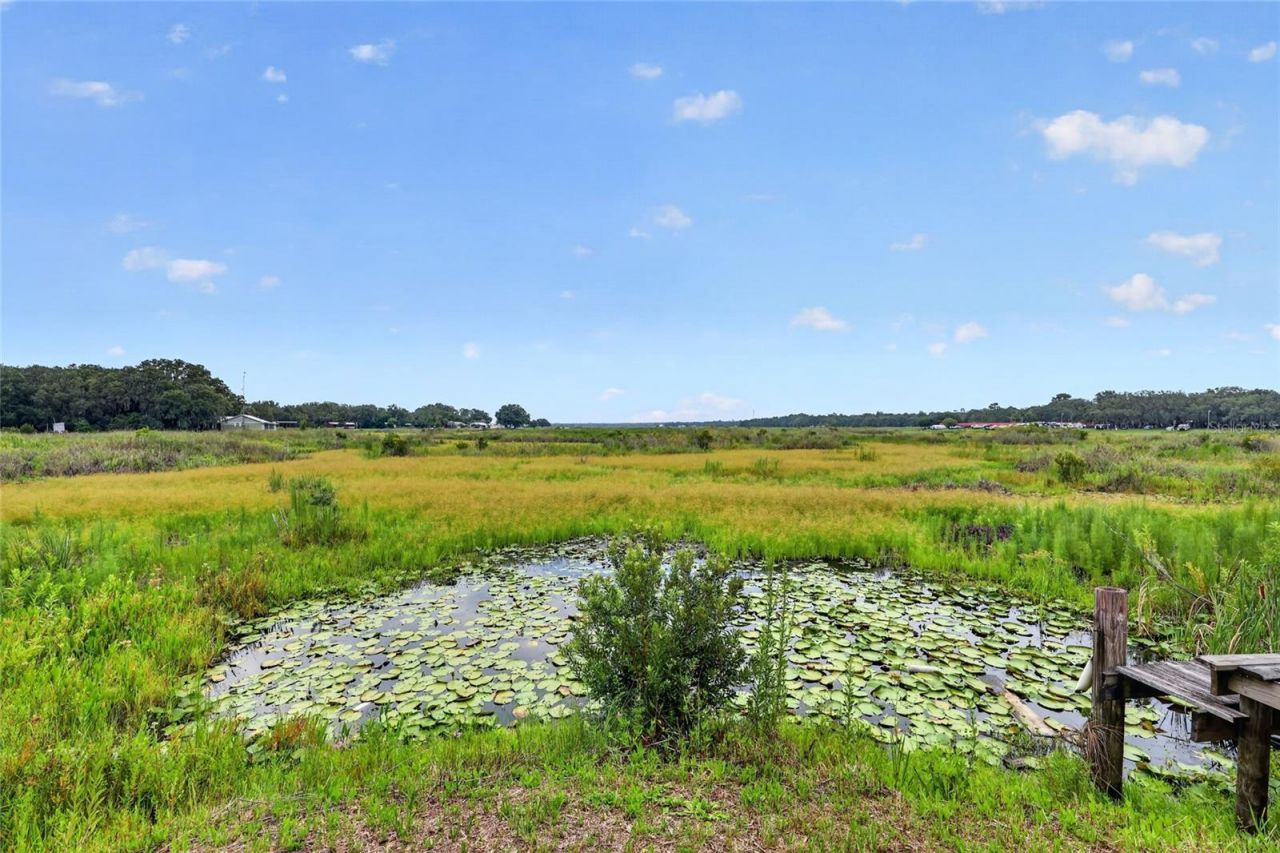 25155 NE 133rd Lane, Salt Springs, FL 32134 Photo