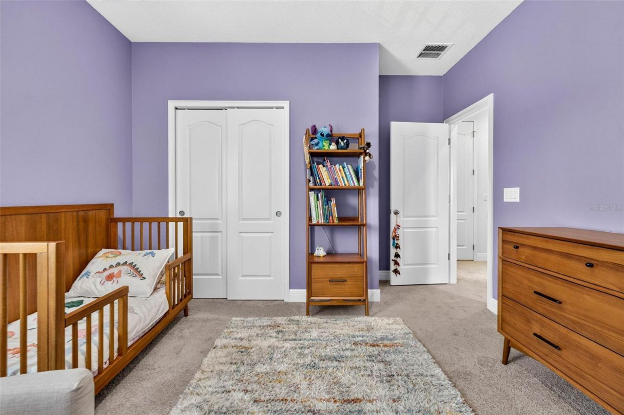 5954 Caldera Ridge Drive, Lithia, FL 33547 Photo