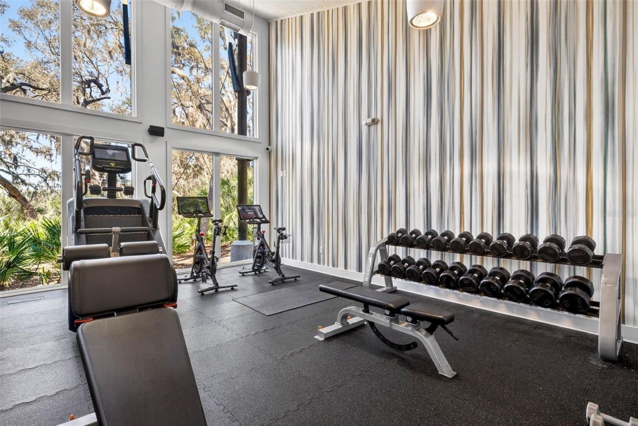 5954 Caldera Ridge Drive, Lithia, FL 33547 Photo