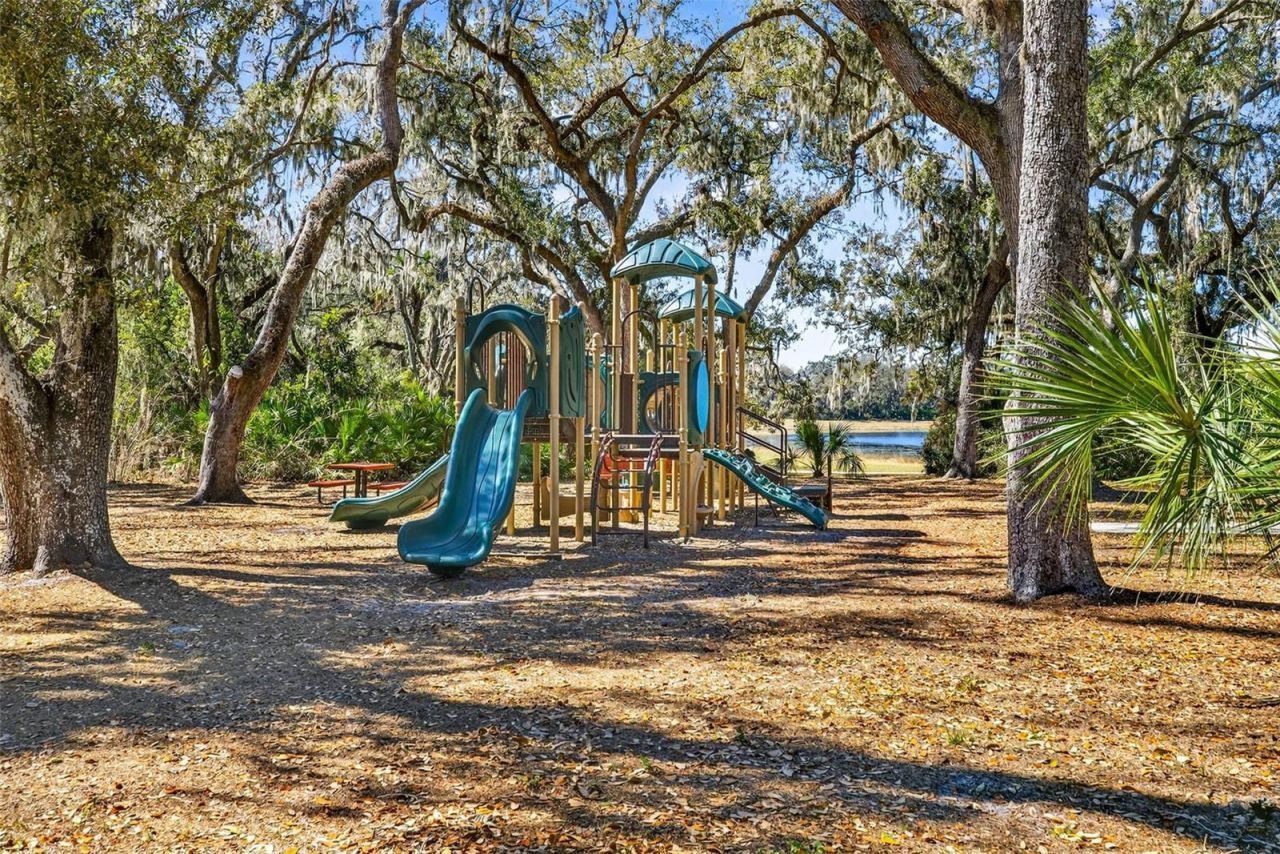 5954 Caldera Ridge Drive, Lithia, FL 33547 Photo