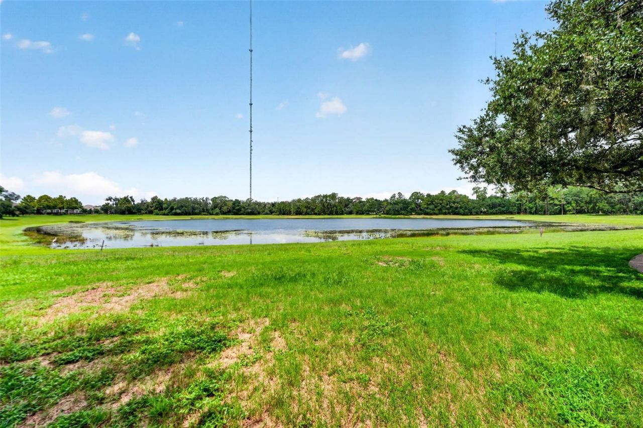 5954 Caldera Ridge Drive, Lithia, FL 33547 Photo