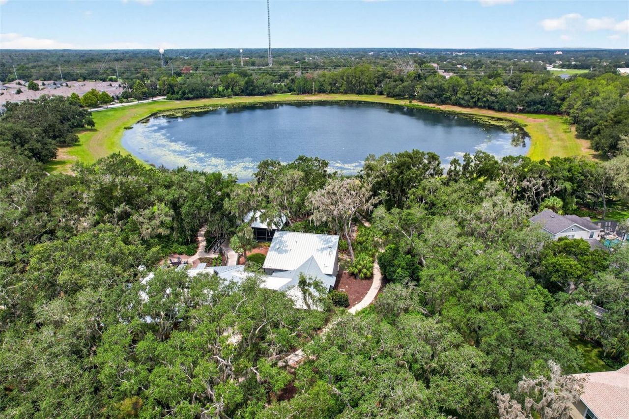 5954 Caldera Ridge Drive, Lithia, FL 33547 Photo