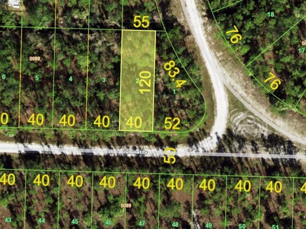 27092 DUBONET DRIVE , PUNTA GORDA, FL 33955