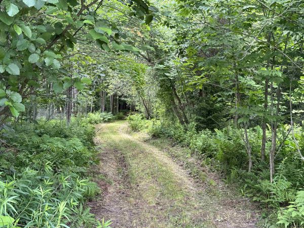 0 Richard Woolcutt Road, Wolcott, VT 05680