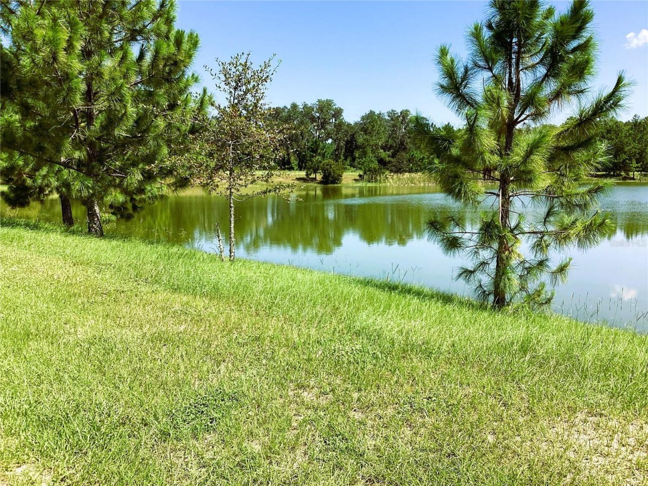133 SW Bellflower Drive, Lake City, FL 32024 Photo
