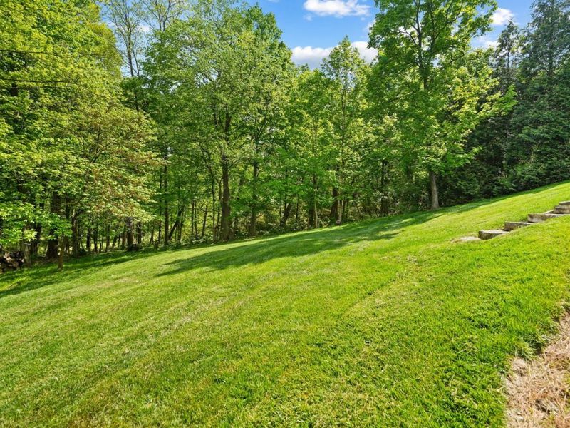 2780 Walsh Road, Cincinnati, OH 45208 Photo 70