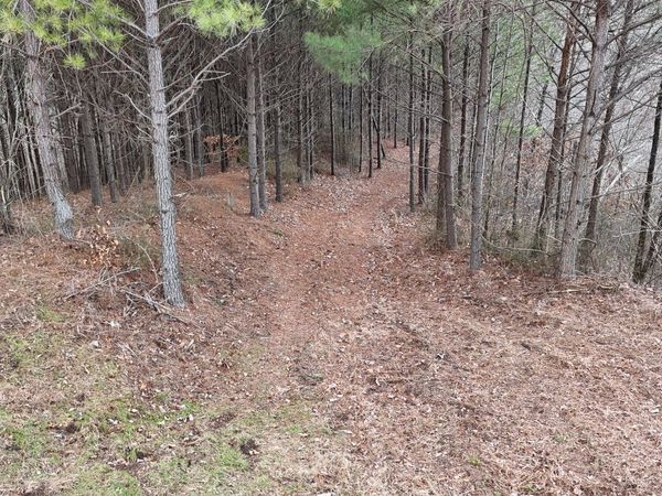 2932 Old Hohenwald Rd , Unit 76, Linden, TN 37096