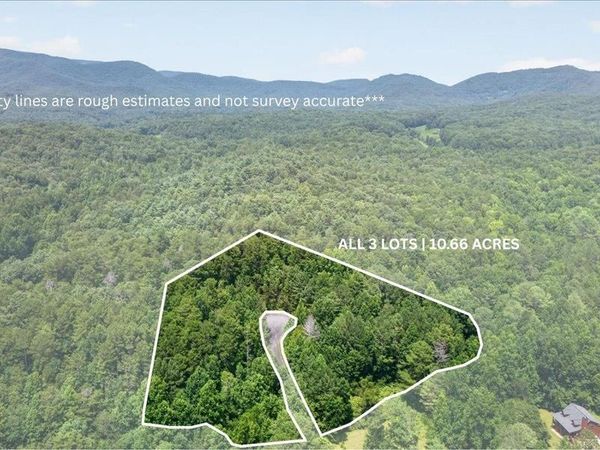 10.66 AC East Ridge Lane, Ellijay, GA 30536