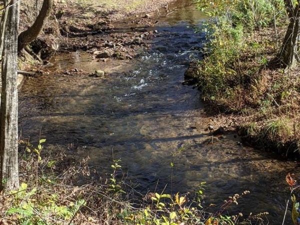 604 Possum Poke Road, Ellijay, GA 30536