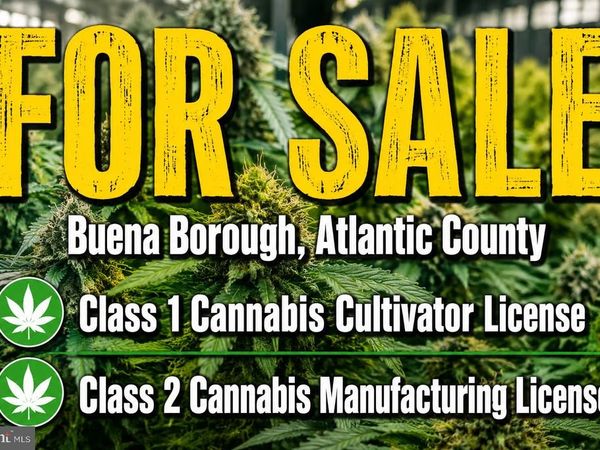 CANNABIS, MINOTOLA, NJ 08341