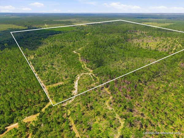 SW Scotts Ferry Road, Other, FL 32466