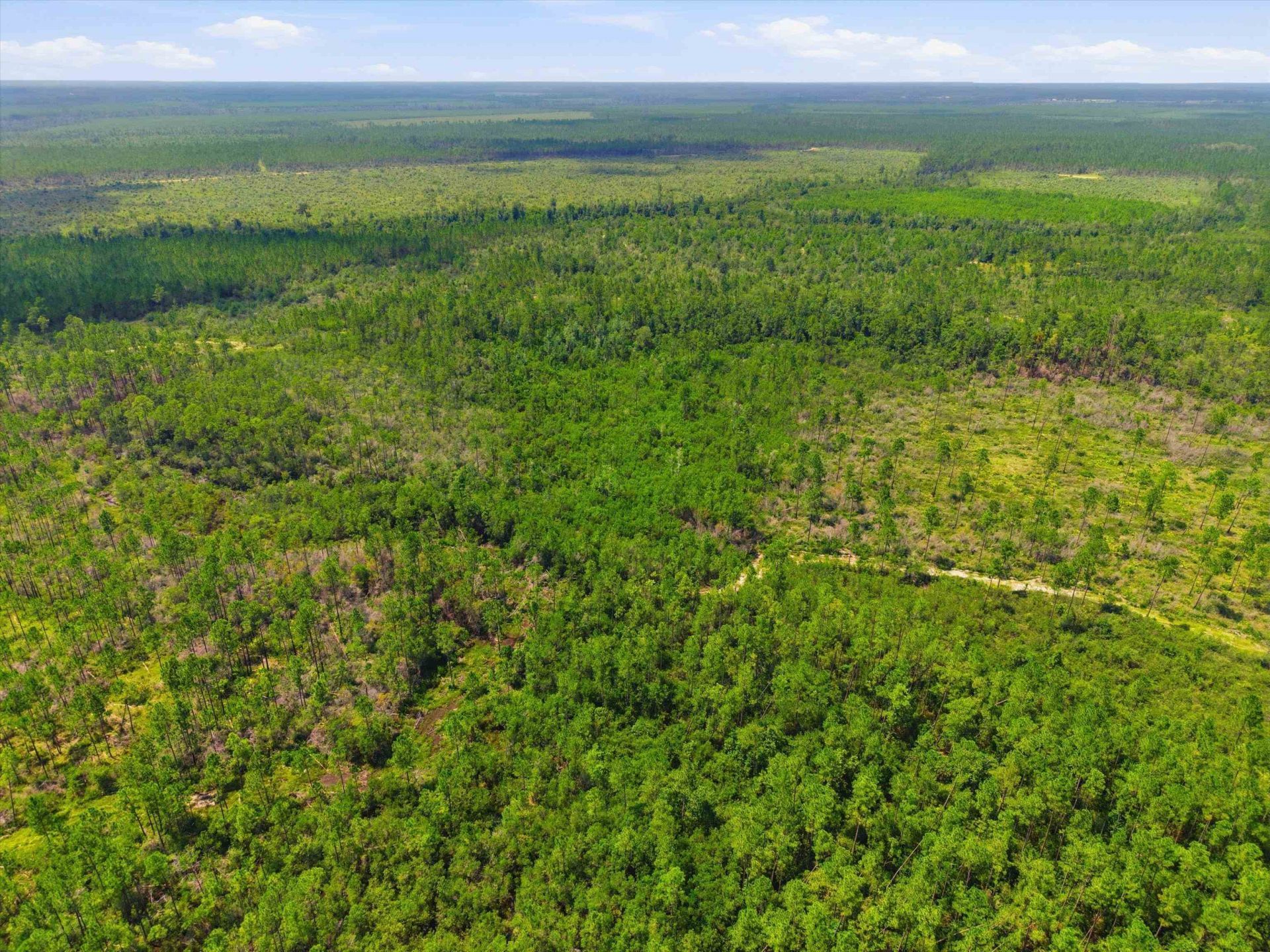 Sw Scotts Ferry Road, Other, FL 32466 Photo